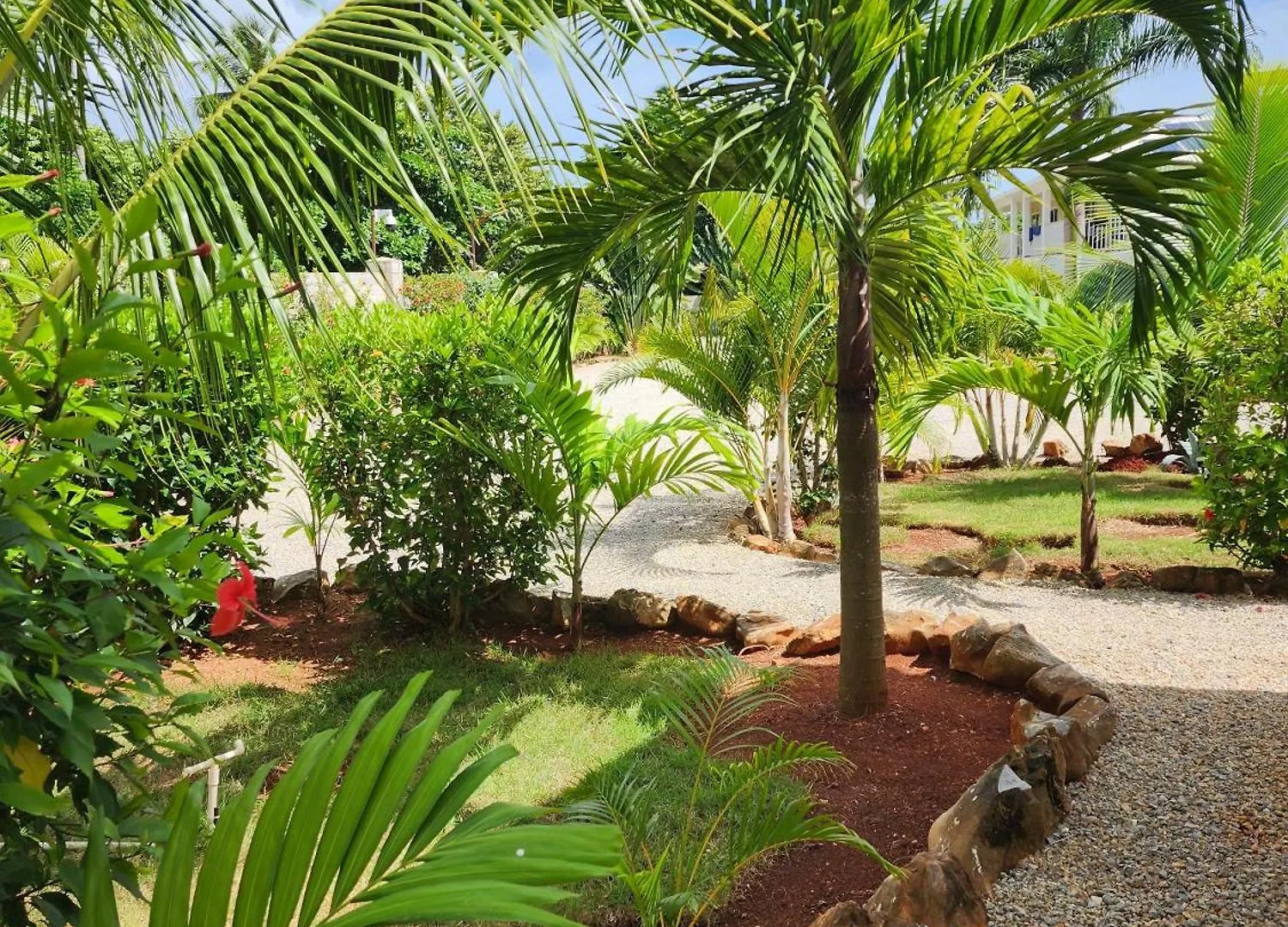 Luxury Room Close To The Beach Las Galeras 0*,